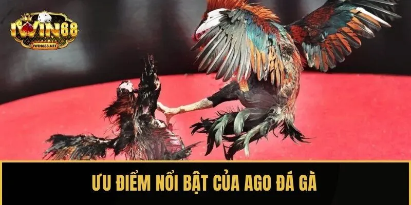 Sảnh AOG xem, cược đá gà có nhiều ưu điểm nổi bật