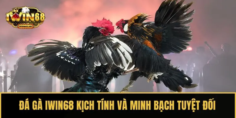 Đá gà IWIN68 kịch tính và minh bạch tuyệt đối