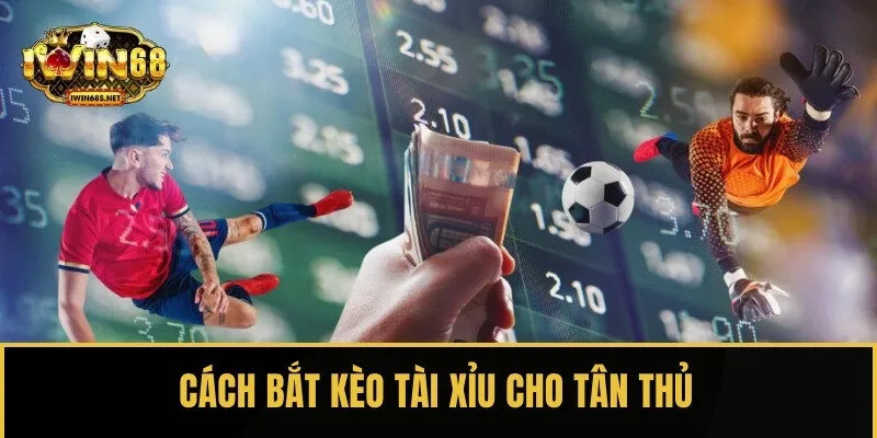 Cách bắt kèo Tài Xỉu siêu hiệu quả dành cho tân thủ